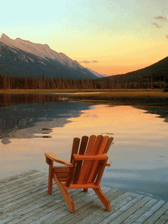 http://i47.tinypic.com/v47bmh.gif