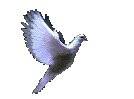 http://arteslibres.net/menuprincipal/asociacion_entrelineas/Paloma.gif